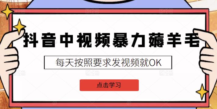 2022抖音中视频暴力薅羊毛白嫖项目：新号每天20块，老号几天几百块，可多号￼-情久项目网