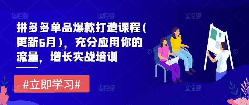 拼多多单品爆款打造课程(更新6月)，充分应用你的流量，增长实战培训-情久项目网