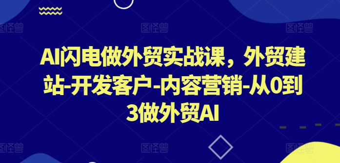 AI闪电做外贸实战课，​外贸建站-开发客户-内容营销-从0到3做外贸AI(更新)-情久项目网