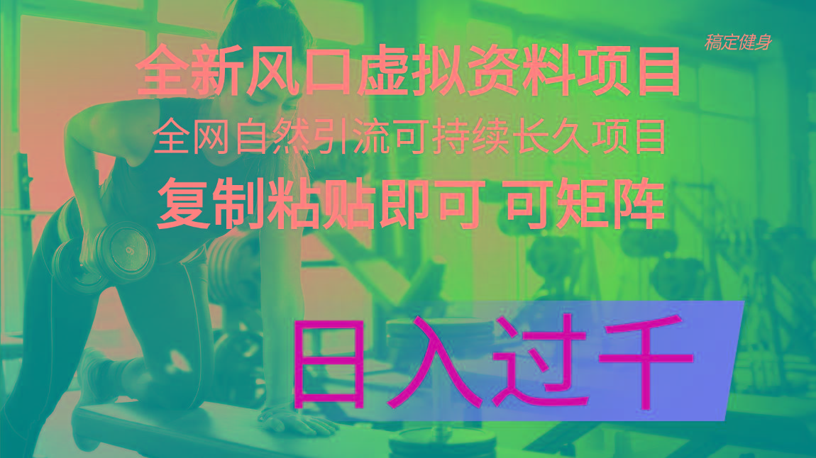 全新风口虚拟资料项目 全网自然引流可持续长久项目 复制粘贴即可可矩阵…-情久项目网