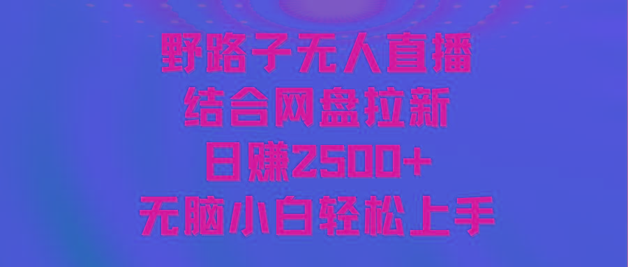 无人直播野路子结合网盘拉新，日赚2500+多平台变现，小白无脑轻松上手操作-情久项目网