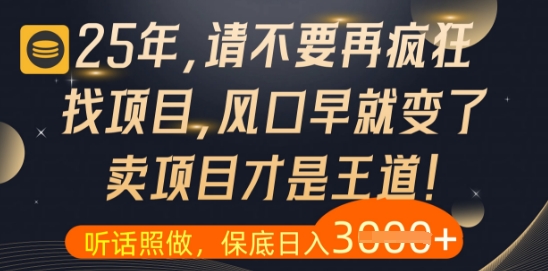 什么？25年你还在疯狂找项目做，醒醒吧，看完这些你全都懂了【揭秘】-情久项目网