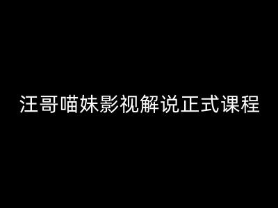 汪哥影视解说正式课程：剪映/PR教学/视解说剪辑5大黄金法则/全流程剪辑7把利器等等-情久项目网