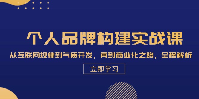 个人品牌构建实战课：从互联网规律到气质开发，再到商业化之路，全程解析-情久项目网