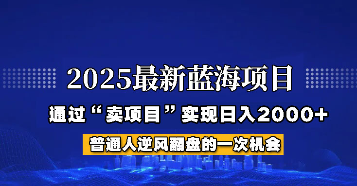 2025年蓝海项目，如何通过“网创项目”日入2000+-情久项目网