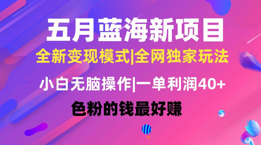 五月蓝海项目全新玩法，小白无脑操作，一天几分钟，矩阵操作，月入4万+-情久项目网