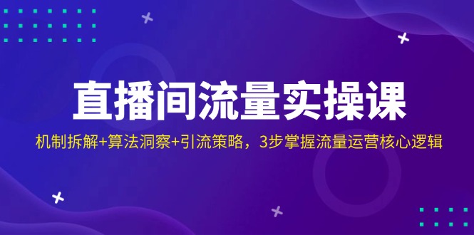 直播间流量实操课：机制拆解+算法洞察+引流策略，3步掌握流量运营核心逻辑-情久项目网