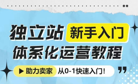 独立站新手入门体系化运营教程，助力独立站卖家从0-1快速入门!-情久项目网