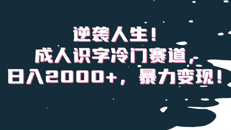 逆袭人生！成人识字冷门赛道，日入2000+，暴力变现！【揭秘】-情久项目网
