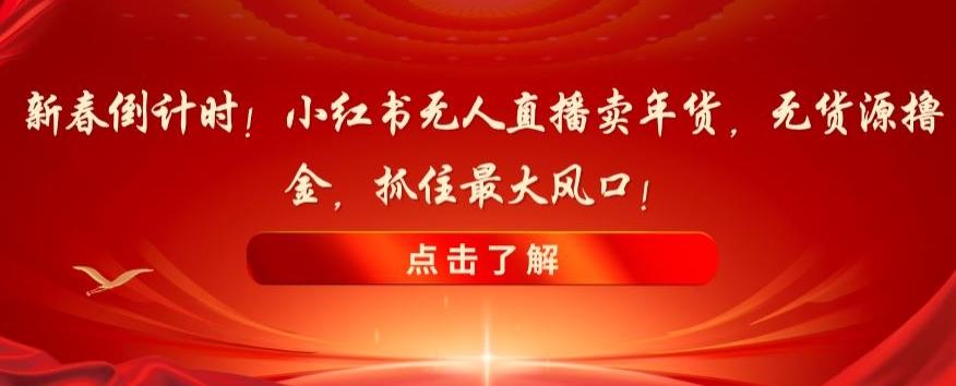 新春倒计时！小红书无人直播卖年货，无货源撸金，抓住最大风口【揭秘】-情久项目网