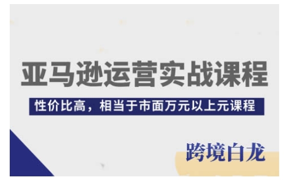 亚马逊运营实战课程，亚马逊从入门到精通，性价比高，相当于市面万元以上元课程-情久项目网