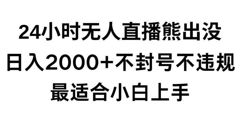 快手24小时无人直播熊出没，不封直播间，不违规，日入2000+，最适合小白上手，保姆式教学【揭秘】-情久项目网