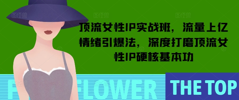 顶流女性IP实战班，流量上亿情绪引爆法，深度打磨顶流女性IP硬核基本功-情久项目网