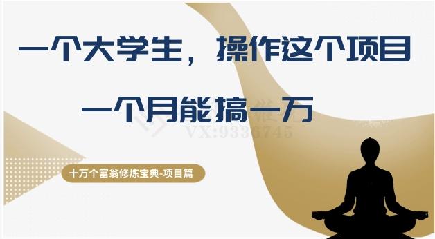 十万个富翁修炼宝典之4.一个大学生操作这个项目，一个月能搞一万-情久项目网