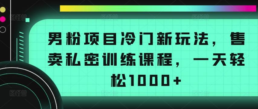 男粉项目冷门新玩法，售卖私密训练课程，一天轻松1000+【揭秘】-情久项目网