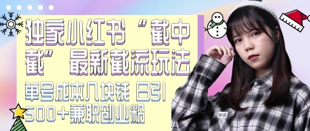 最新小红书截流玩法 独家截中截 单号成本几块钱 日引500+CY粉JZ粉-情久项目网