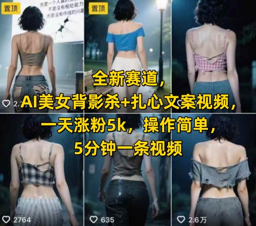 全新赛道，AI美女背影杀+扎心文案视频，一天涨粉5k，操作简单，5分钟一条视频-情久项目网