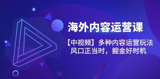 海外内容 运营课【中视频】多种内容运营玩法 风口正当时 掘金好时机-101节-情久项目网