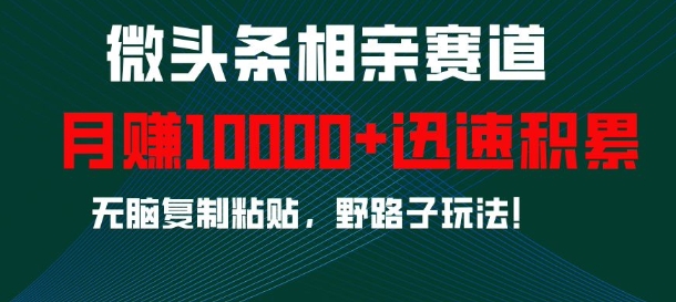 微头条相亲赛道，迅速积累，无脑复制粘贴，野路子玩法，月入1w-情久项目网