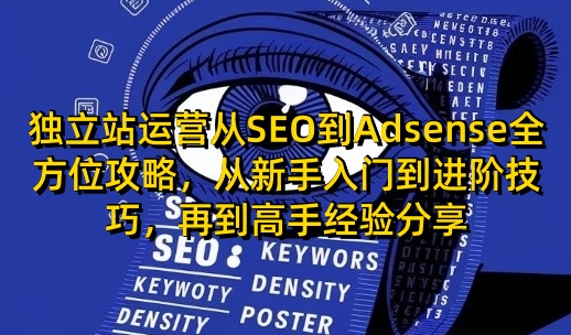 独立站运营从SEO到Adsense全方位攻略，从新手入门到进阶技巧，再到高手经验分享-情久项目网