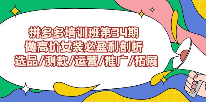 (9333期)拼多多培训班第34期：做高价女装必盈利剖析  选品/测款/运营/推广/拓展-情久项目网