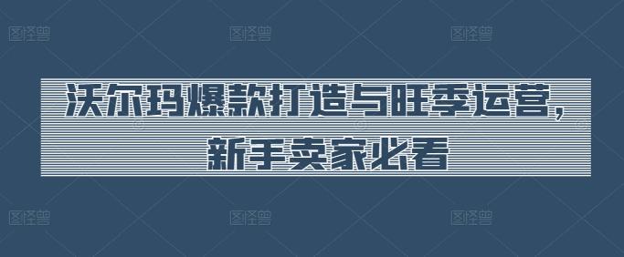 沃尔玛爆款打造与旺季运营，新手卖家必看-情久项目网