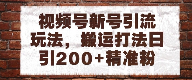 视频号新号引流玩法，搬运打法日引200+精准粉，可矩阵放大【揭秘】-情久项目网
