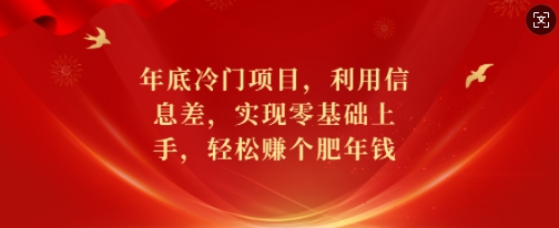 年底冷门项目，利用信息差，实现零基础上手，轻松赚个肥年钱【揭秘】-情久项目网