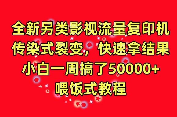 全新另类影视流量复印机，传染式裂变，快速拿结果，小白一周搞了50000+，喂饭式教程【揭秘】-情久项目网