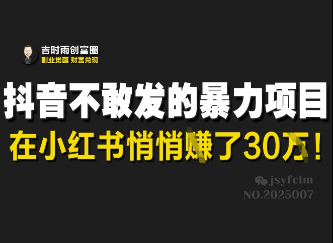 抖音不敢发的暴利项目，在小红书悄悄挣了30W-情久项目网