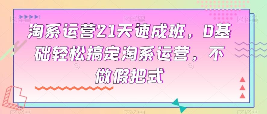 淘系运营21天速成班，0基础轻松搞定淘系运营，不做假把式-情久项目网