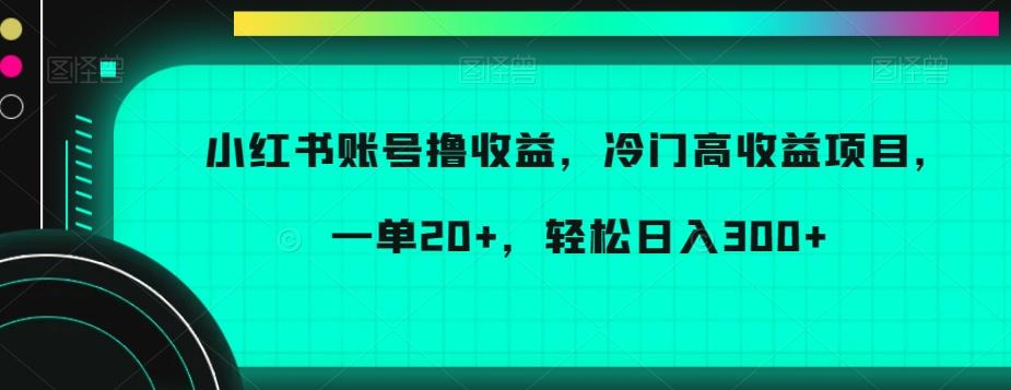 小红书账号撸收益，冷门高收益项目，一单20+，轻松日入300+【揭秘】-情久项目网