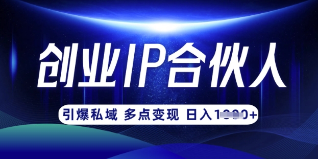 云帆·创业ip合伙人打造3.0，从0到1教你做网创，实现月入过W-情久项目网