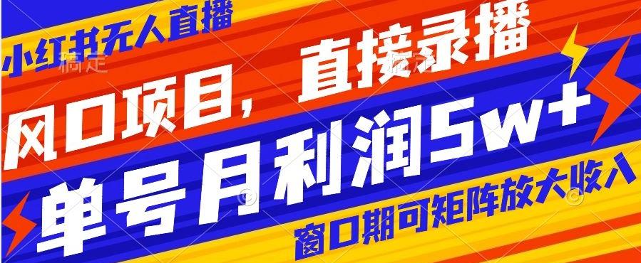 风口项目，小红书无人直播带货，直接录播，可矩阵，月入5w+【揭秘】-情久项目网
