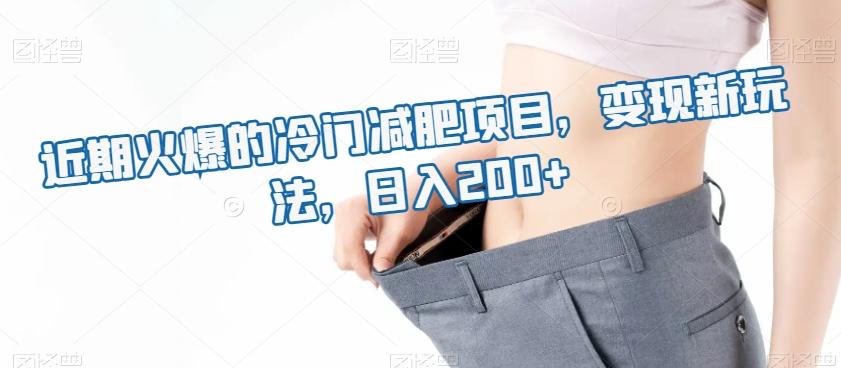 近期火爆的冷门减肥项目，变现新玩法，日入200+-情久项目网