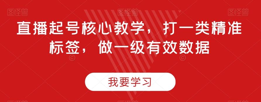 直播起号核心教学，打一类精准标签，做一级有效数据-情久项目网