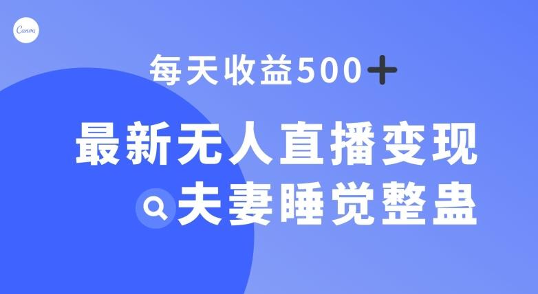 最新无人直播变现，夫妻睡觉整蛊，每天躺赚500+【揭秘】-情久项目网