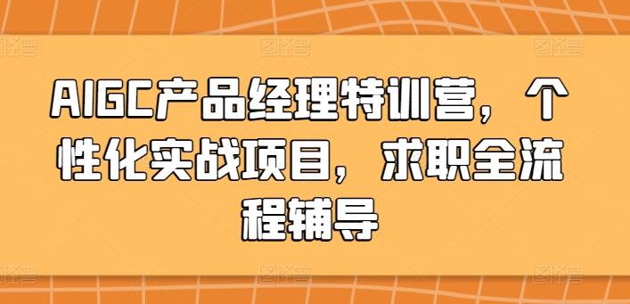 AIGC产品经理特训营，个性化实战项目，求职全流程辅导-情久项目网
