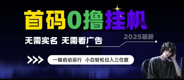 首码0撸挂G项目，无需实名无需看广告 一键启动运行，小白轻松日入三位数【揭秘】-情久项目网