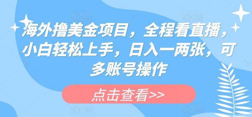 海外撸美金项目，全程看直播，小白轻松上手，日入一两张，可多账号操作【揭秘】-情久项目网