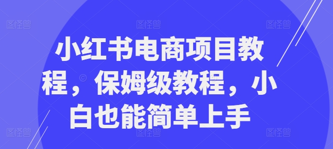小红书电商项目教程，保姆级教程，小白也能简单上手-情久项目网