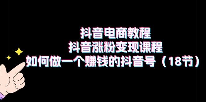 抖音电商教程：抖音涨粉变现课程：如何做一个赚钱的抖音号(18节-情久项目网
