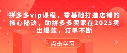 拼多多vip课程，零基础打造店铺的核心秘诀，助拼多多卖家在2025卖出爆款，订单不断-情久项目网