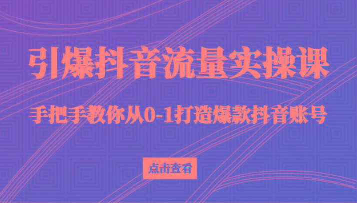 引爆抖音流量实操课，手把手教你从0-1打造爆款抖音账号(27节课)-情久项目网