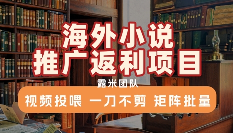 海外小说推广返利项目，视频投喂， 一刀不剪，矩阵批量-情久项目网