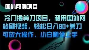冷门撸美刀项目，利用国外网站刷视频，轻松日入80+美刀，可放大操作，小白随便上手-情久项目网