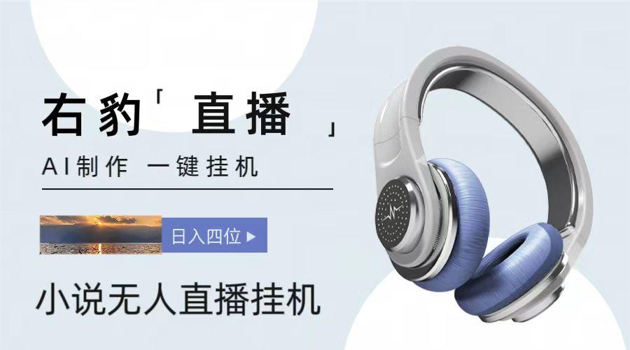 右豹小说无人直播挂机吸金项目，简单易行收益稳定， 月入1000+-情久项目网
