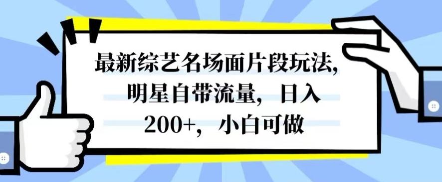 最新综艺名场面片段玩法，明星自带流量，日入200+，小白可做【揭秘】-情久项目网
