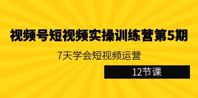视频号短视频实操训练营第5期：7天学会短视频运营(12节课)-情久项目网