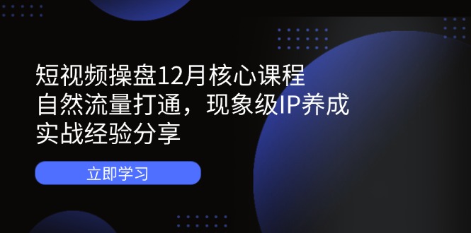 短视频操盘12月核心课程：自然流量打通，现象级IP养成，实战经验分享-情久项目网